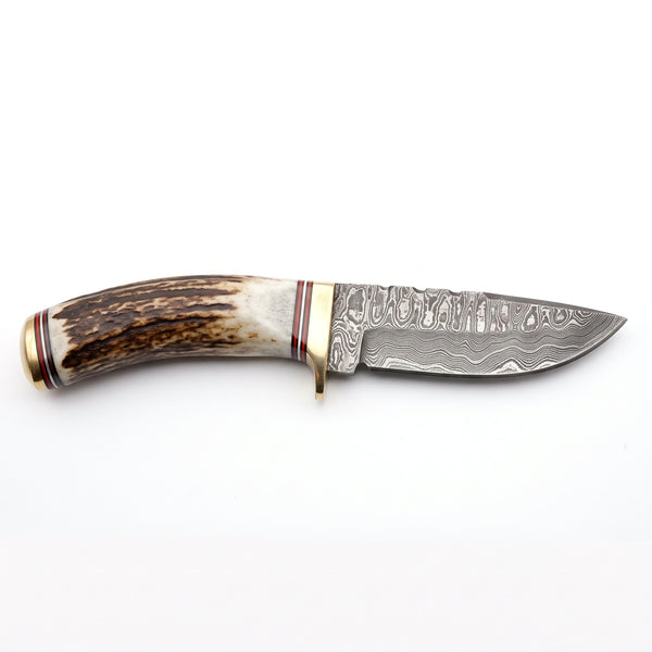 Ridgeback 8" Damascus Hunting Knife | Stag & Brass, side profile on white