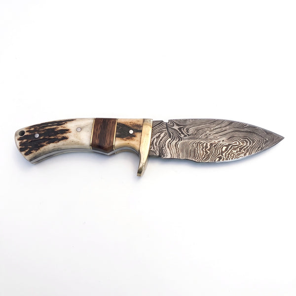 Ridgeback 9" Damascus Hunting Knife | Stag, side profile on white