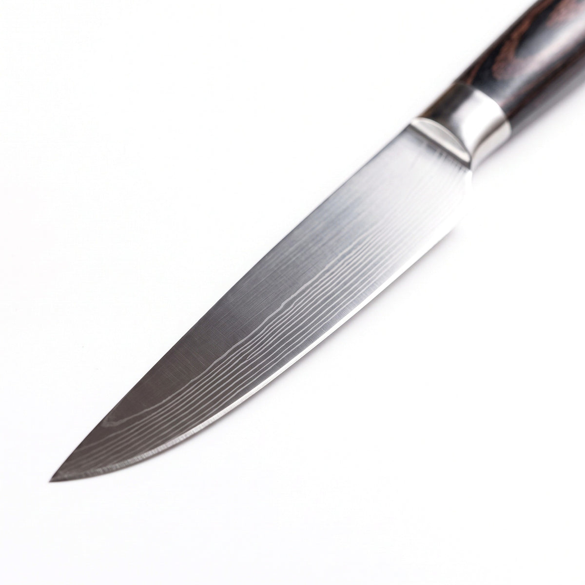 5-Piece Carbon Steel Steak Knife Set | Pakkawood, carbon steel blade close-up