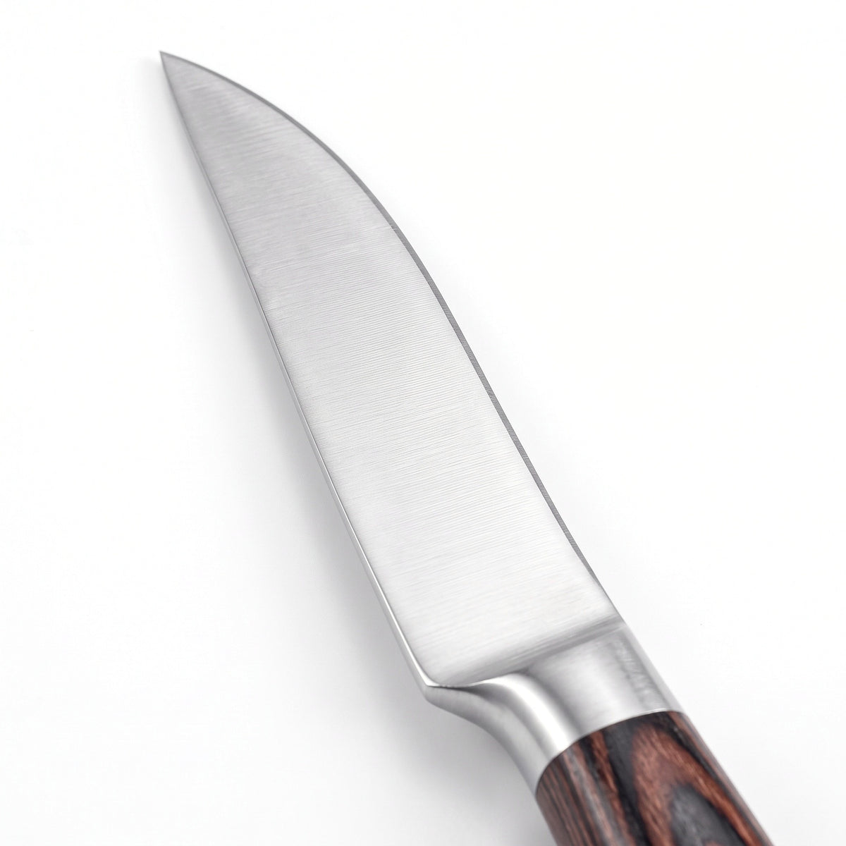 6-Piece Carbon Steel Steak Knife Set | Pakkawood, carbon steel blade close-up