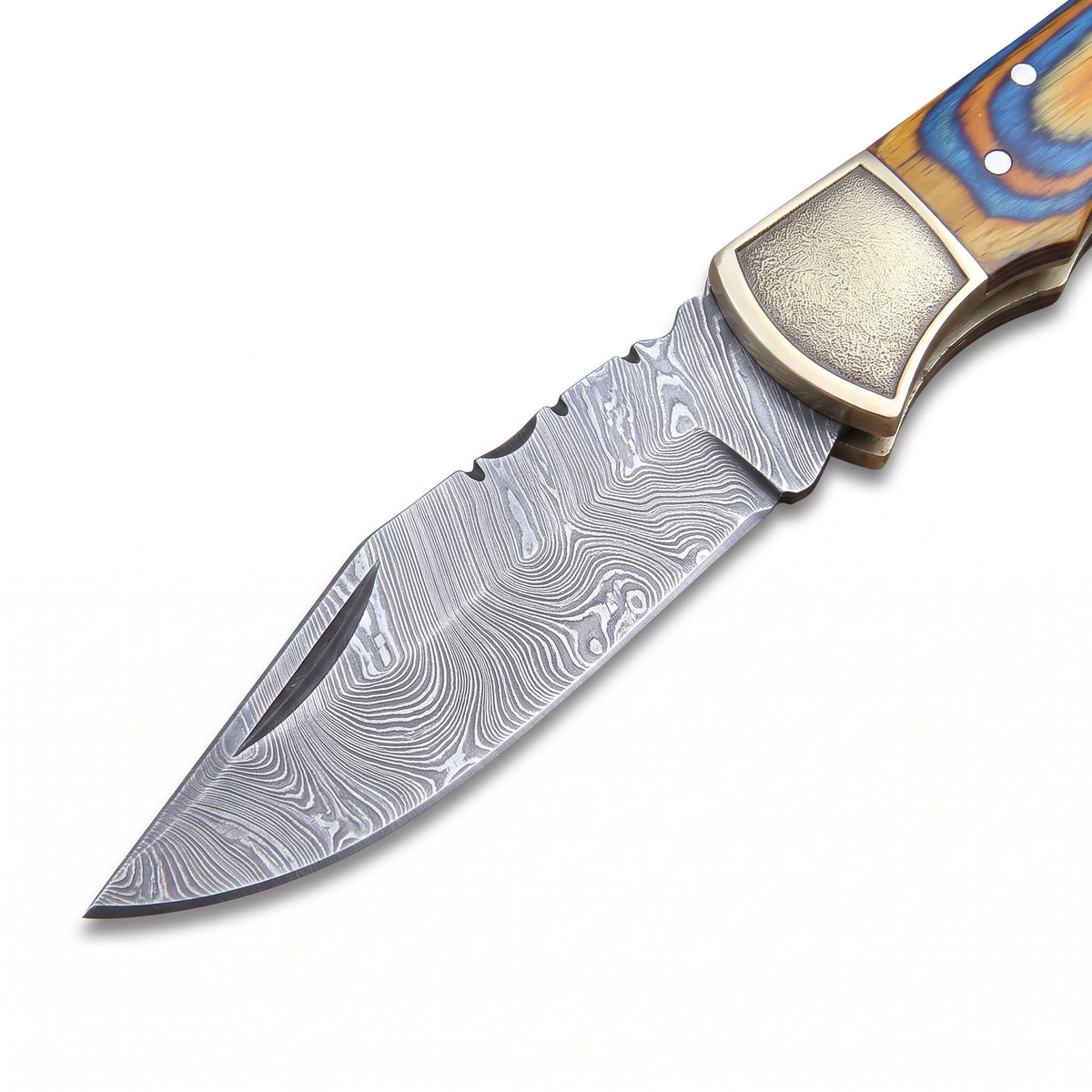 Creek 7" Damascus Pocket Knife | Dyed Wood, Damascus blade close-up