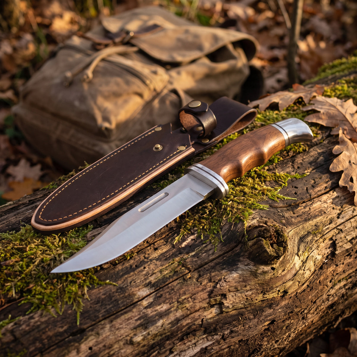 Ridgeback 11" Satin Steel Hunting Knife | Walnut, Fullered Blade, with the Crownridge sheath in use