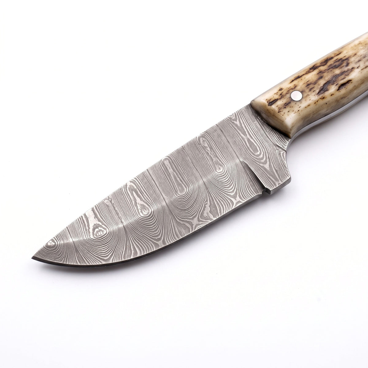 Ranch 10.5" Damascus Bull Cutter | Hardwood, Damascus blade close-up