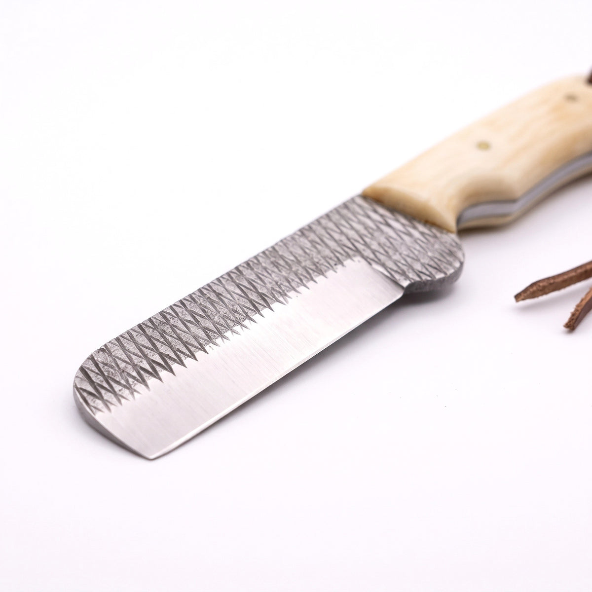 Ranch 7.5" Rasp Steel Bull Cutter | Camel Bone, carbon steel blade close-up