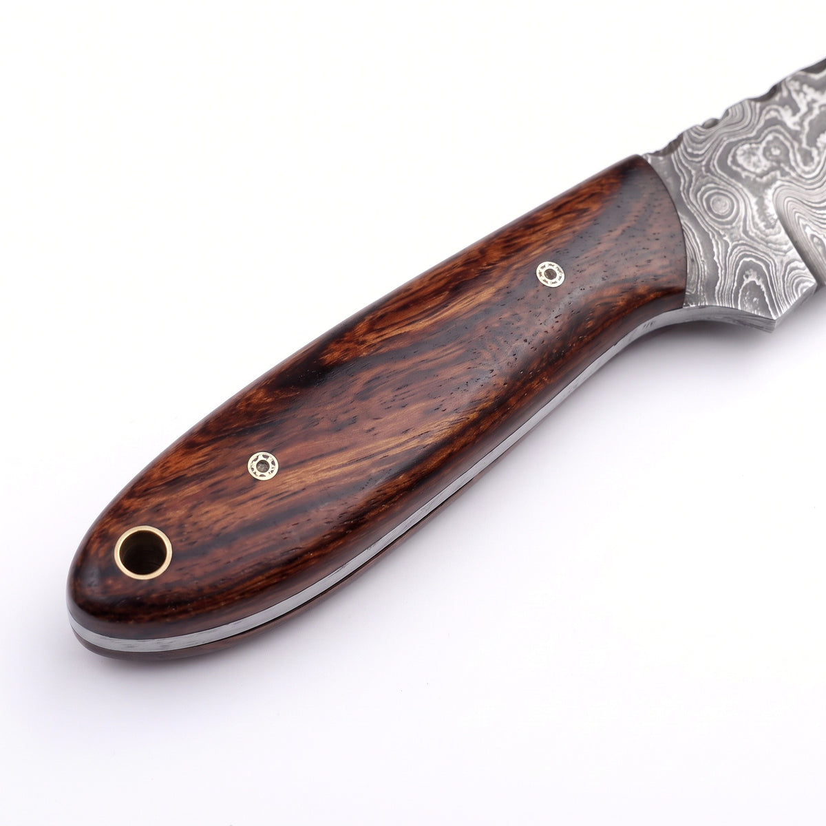 Ranch 6.2" Damascus Cowboy Knife | Rosewood, handle and fittings close-up