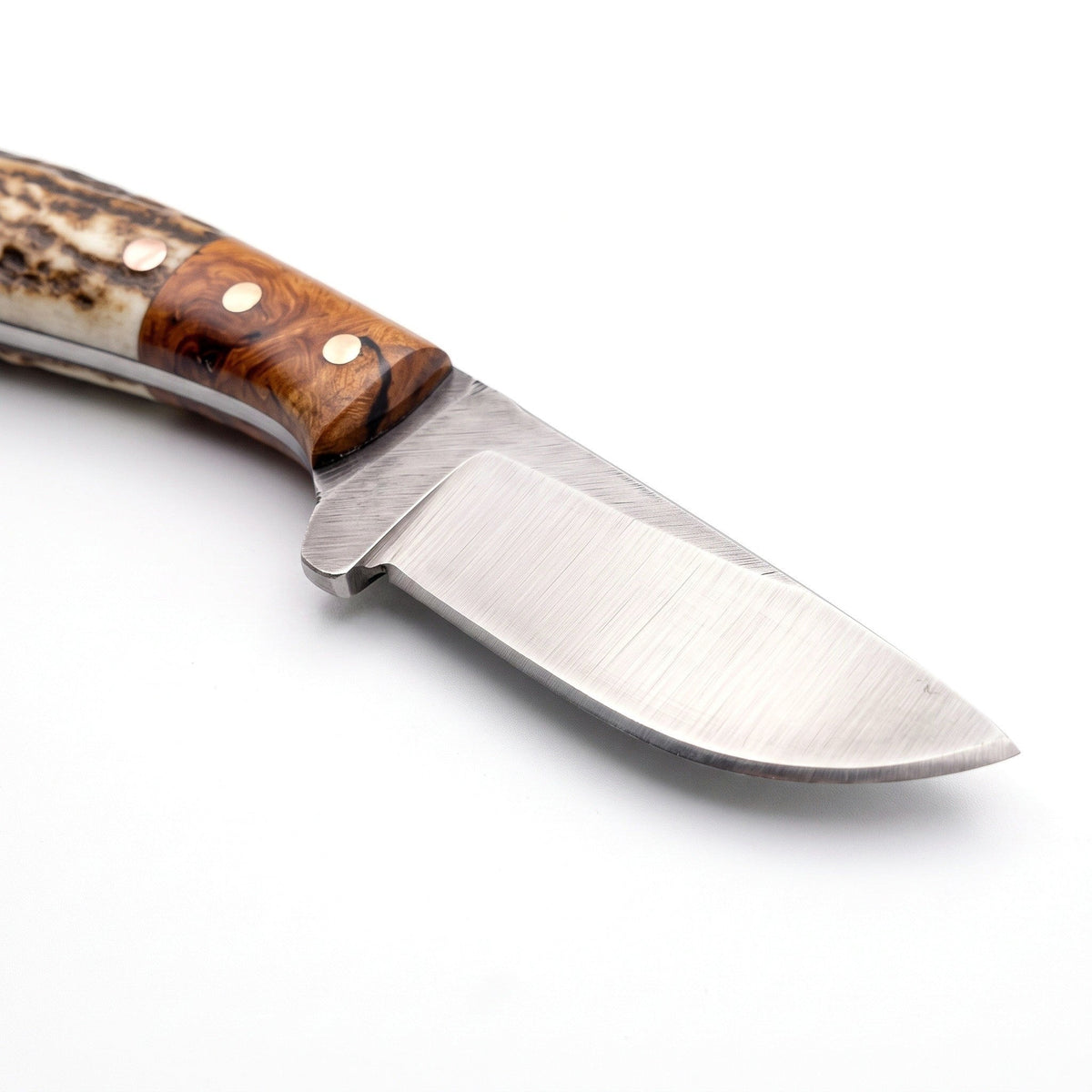 Ranch 7.5" Carbon Steel Cowboy Knife | Stag, carbon steel blade close-up