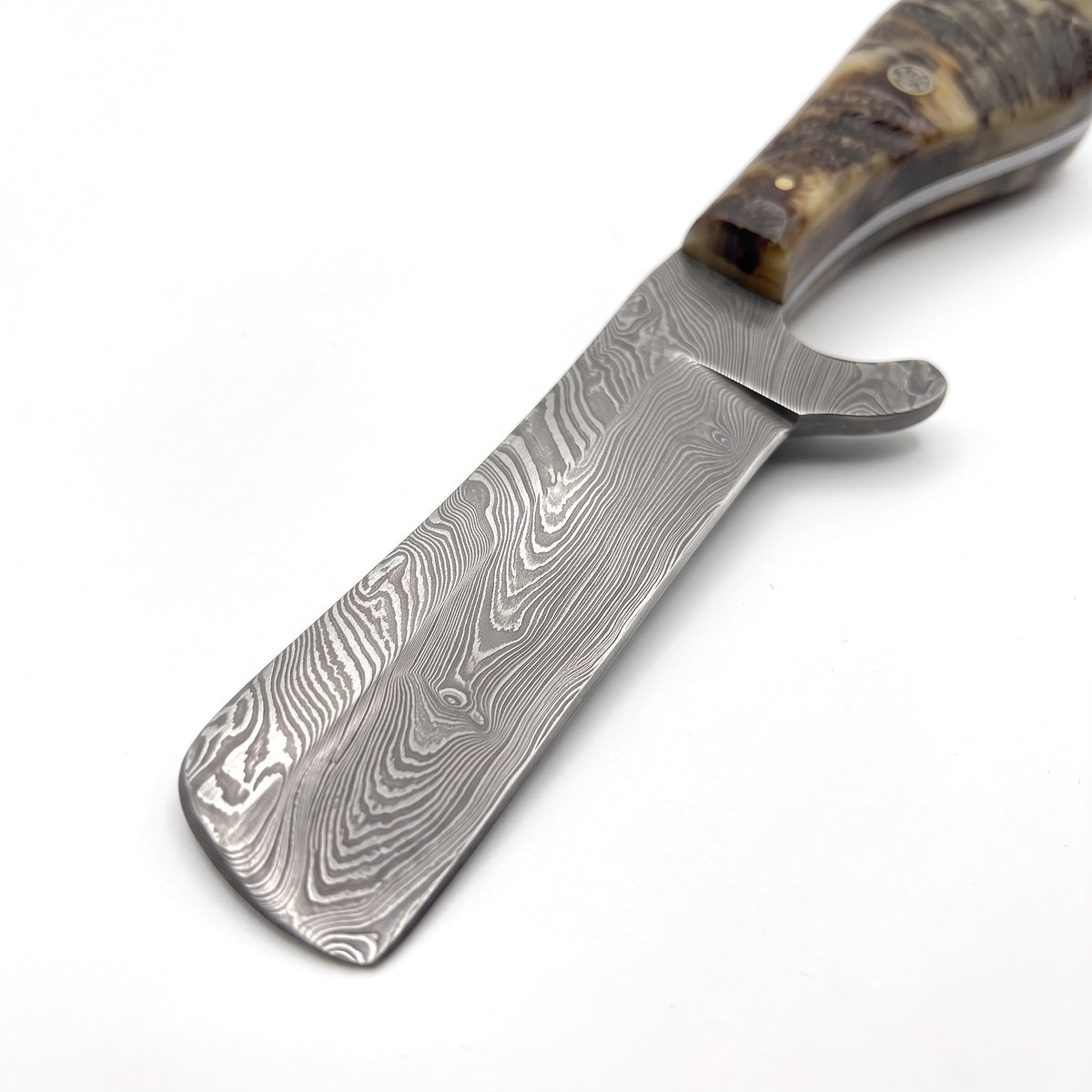Ranch 8" Damascus Bull Cutter | Ram Horn, Damascus blade close-up