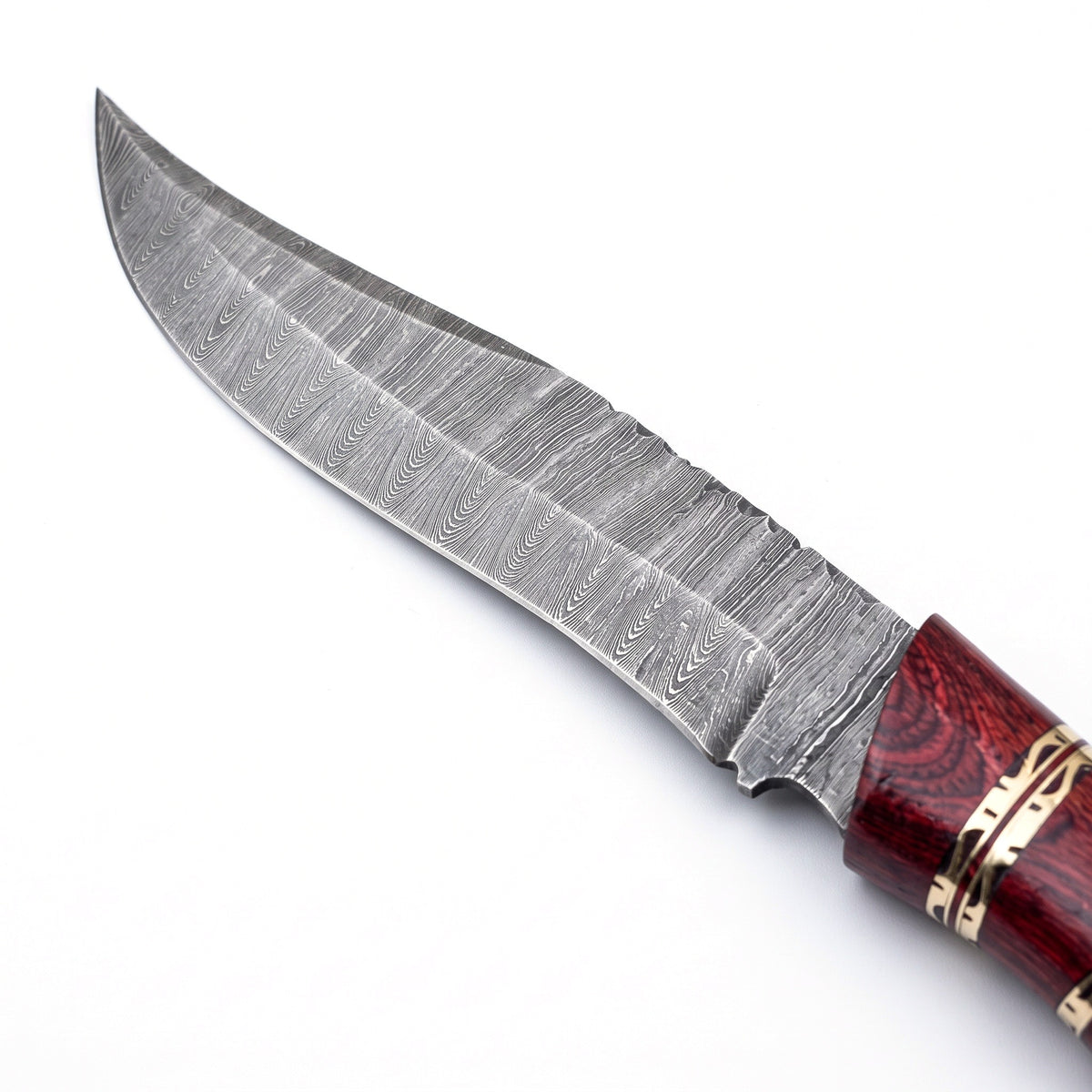 Ridgeback 10" Damascus Hunting Knife | Burgundy Pakkawood, Damascus blade close-up