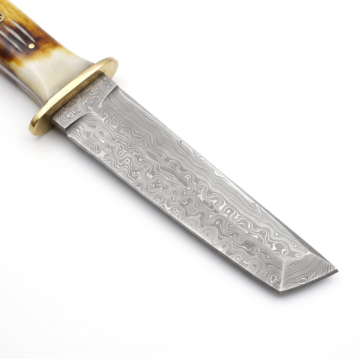 Ridgeback 10.5" Damascus Tanto Knife | Camel Bone & Brass, Damascus blade close-up