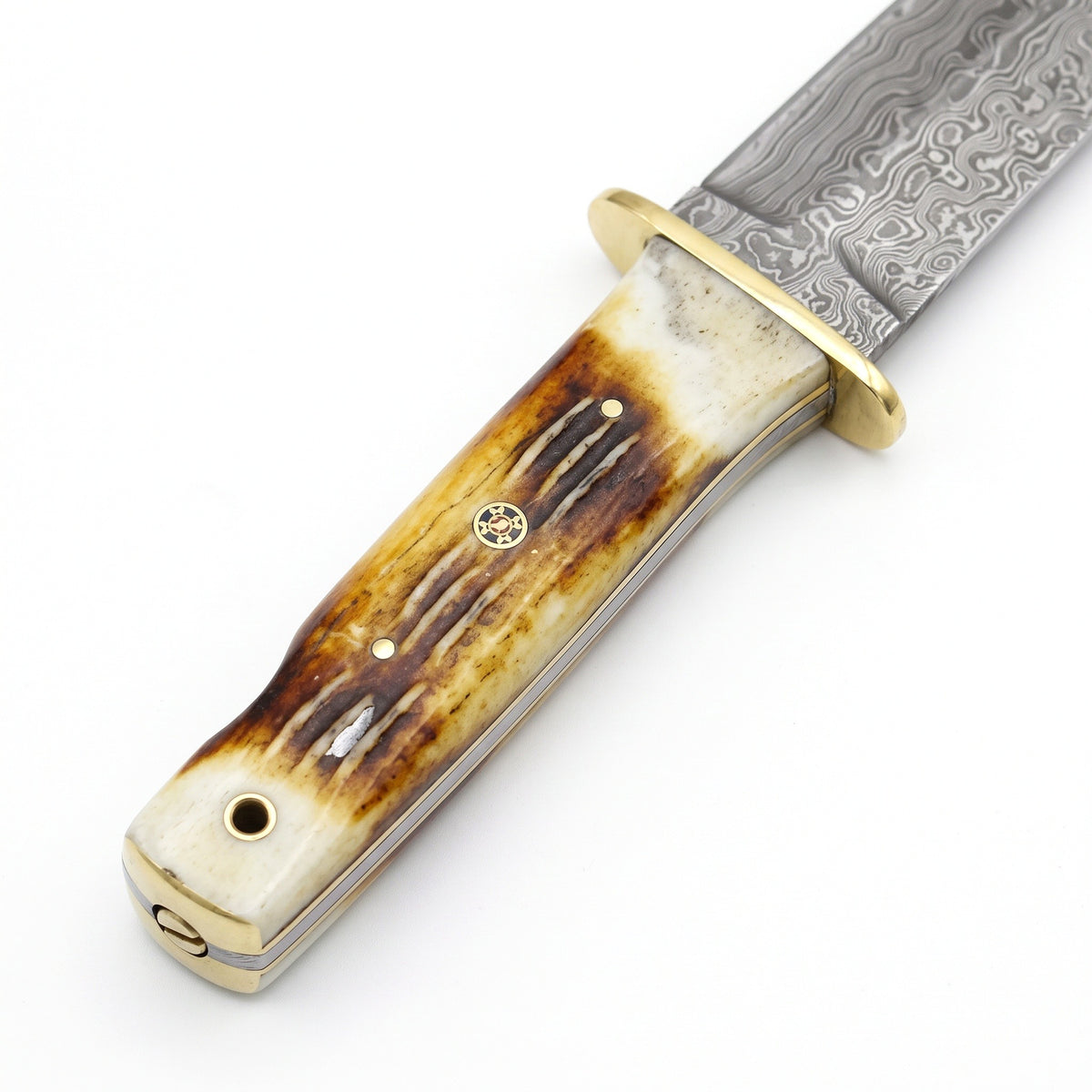 Ridgeback 10.5" Damascus Tanto Knife | Camel Bone & Brass, handle and fittings close-up