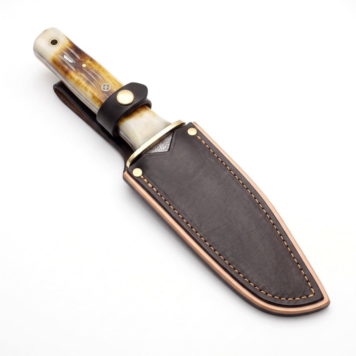 Ridgeback 10.5" Damascus Tanto Knife | Camel Bone & Brass, seated in the Crownridge sheath