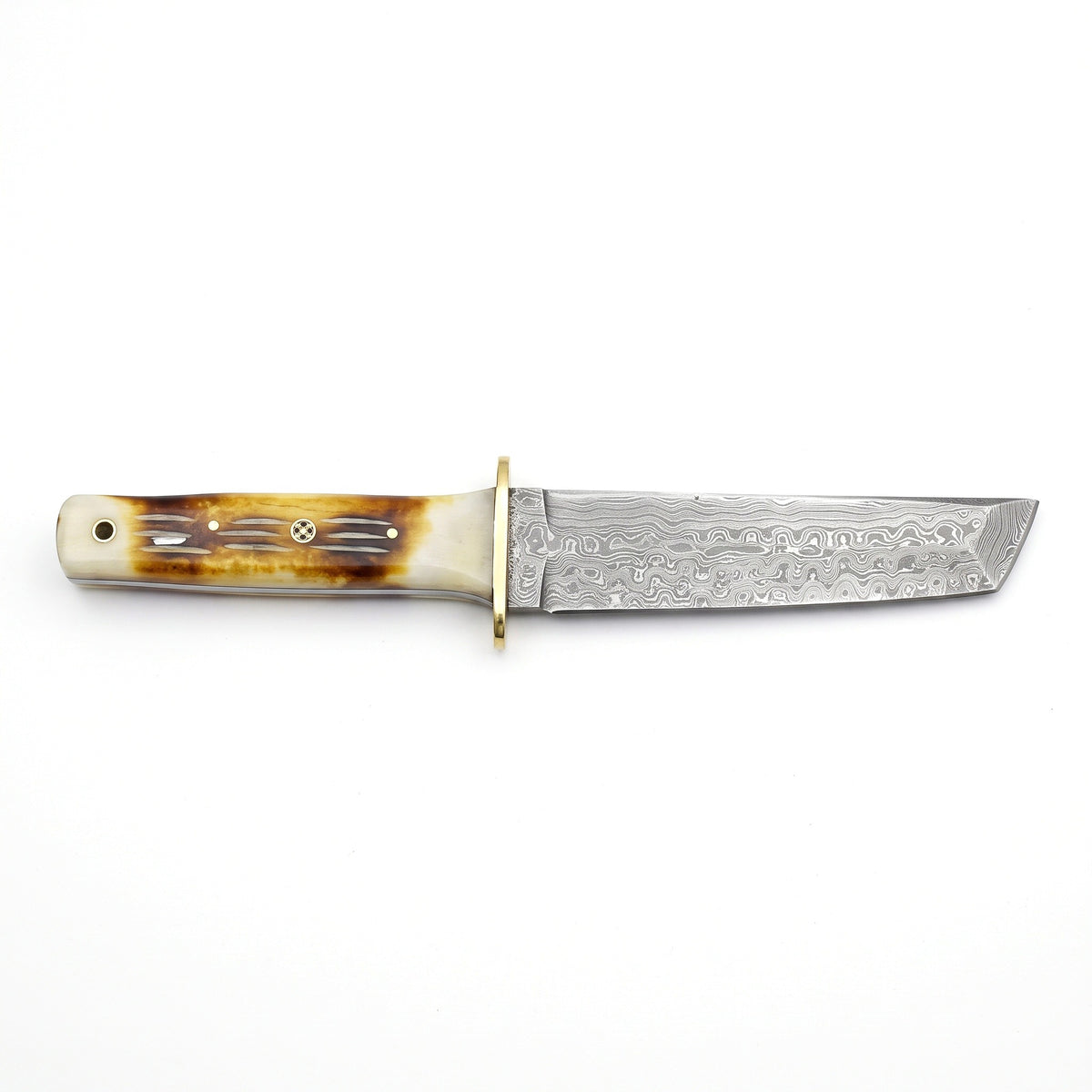 Ridgeback 10.5" Damascus Tanto Knife | Camel Bone & Brass, side profile on white