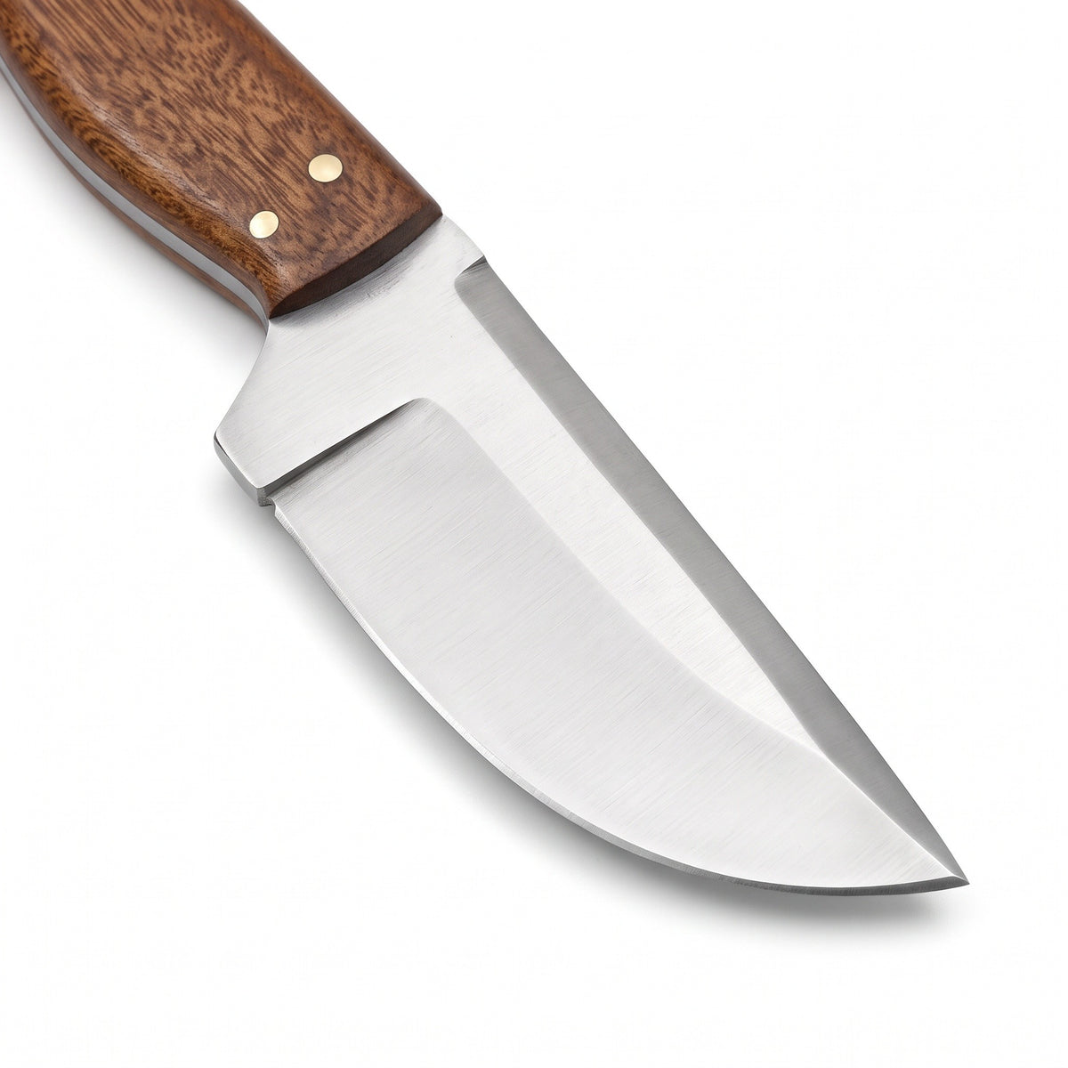 Ridgeback 10" Carbon Steel Hunting Knife | Ram Horn, carbon steel blade close-up