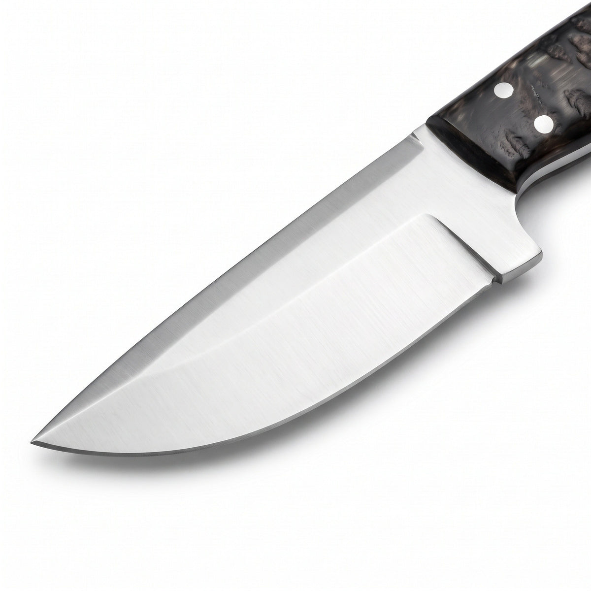 Ridgeback 10" Carbon Steel Hunting Knife | Walnut, carbon steel blade close-up