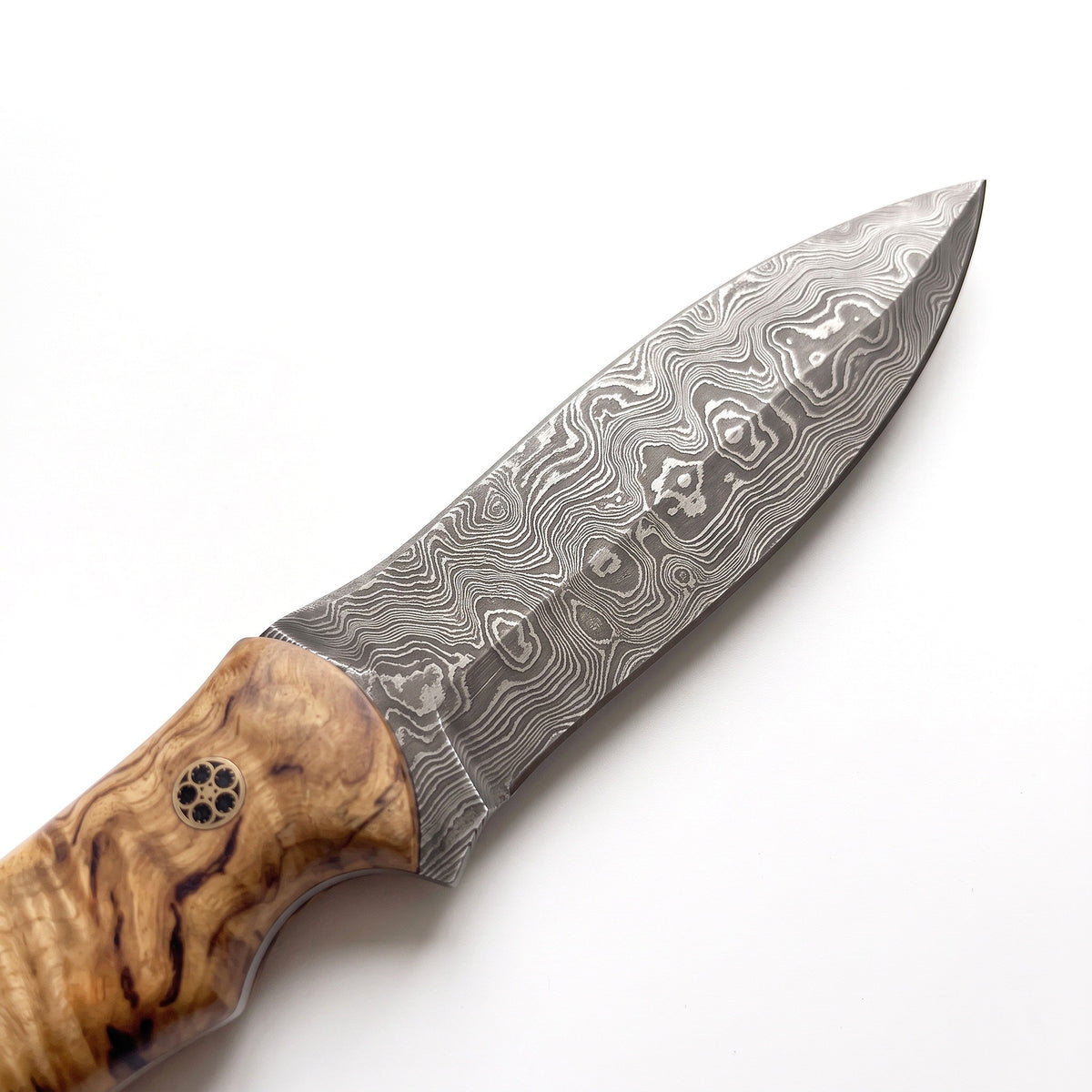 Ridgeback 10" Damascus Hunting Knife | Mango Wood, Damascus blade close-up