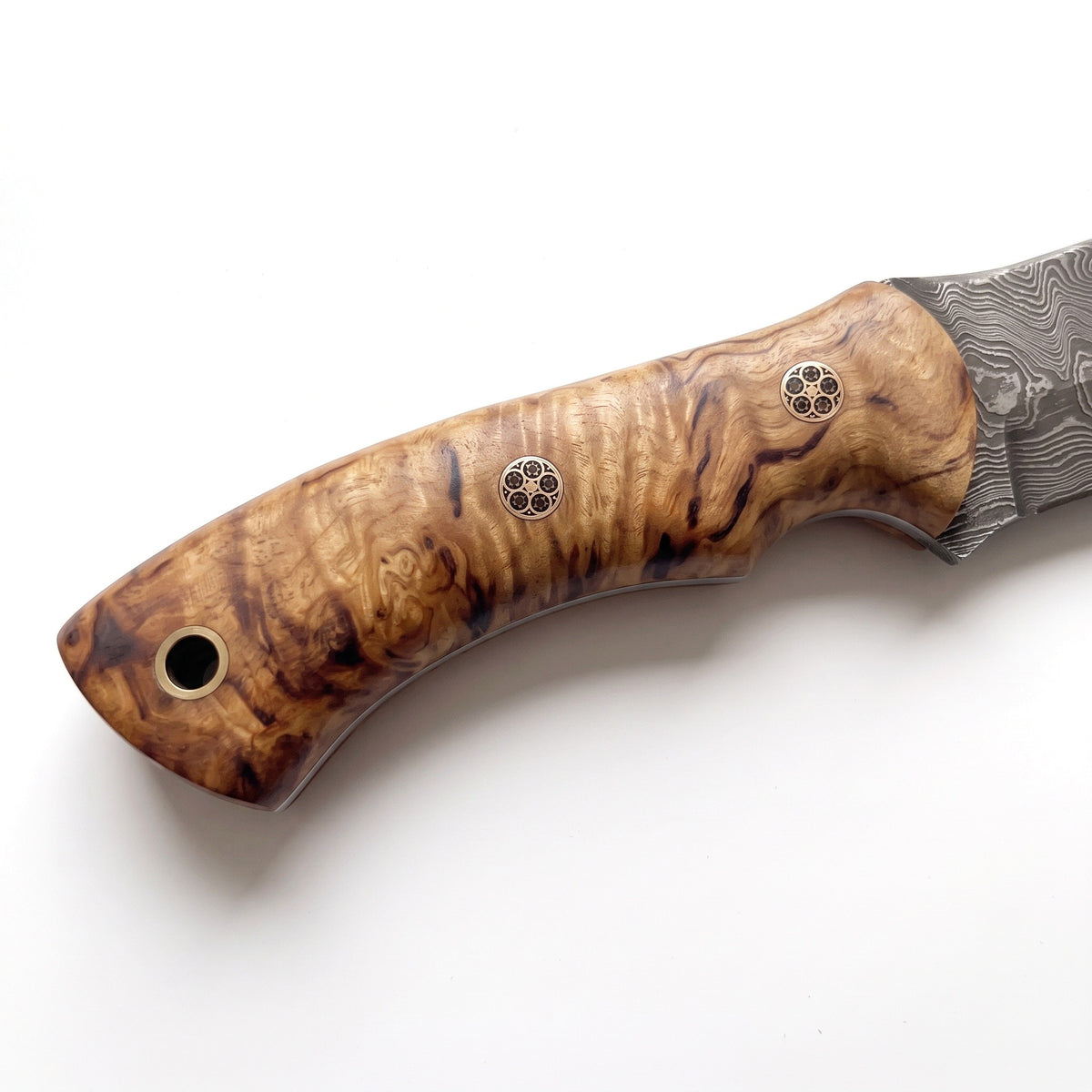 Ridgeback 10" Damascus Hunting Knife | Mango Wood, handle and fittings close-up
