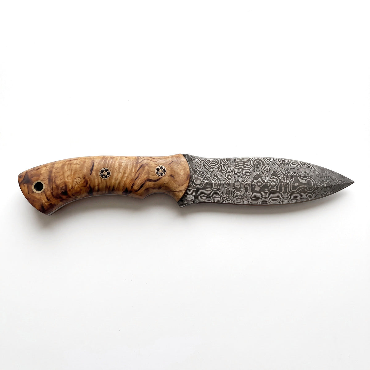 Ridgeback 10" Damascus Hunting Knife | Mango Wood, side profile on white