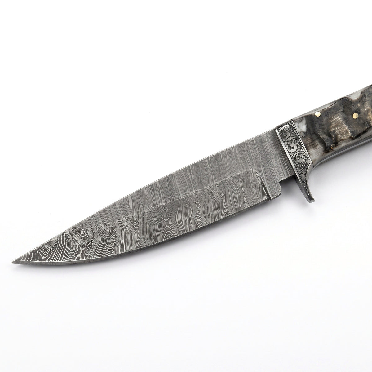 Ridgeback 9.25" Damascus Hunting Knife | Ram Horn, Damascus blade close-up