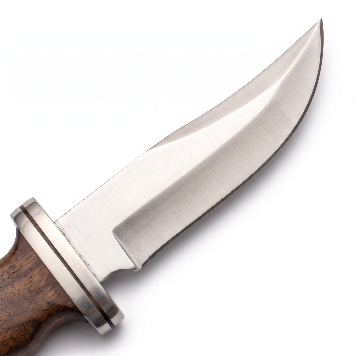 Ridgeback 11" Satin Steel Hunting Knife | Walnut, Plain Grind, satin steel blade close-up