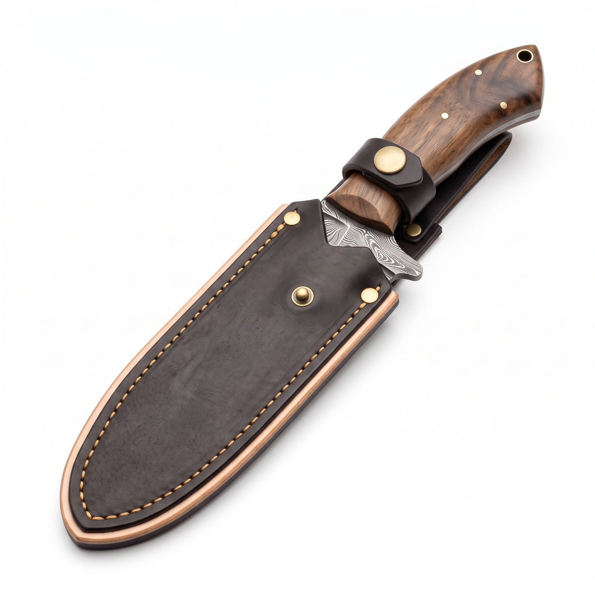 Ridgeback 7" Damascus Gut Hook Knife | Walnut, seated in the Crownridge sheath