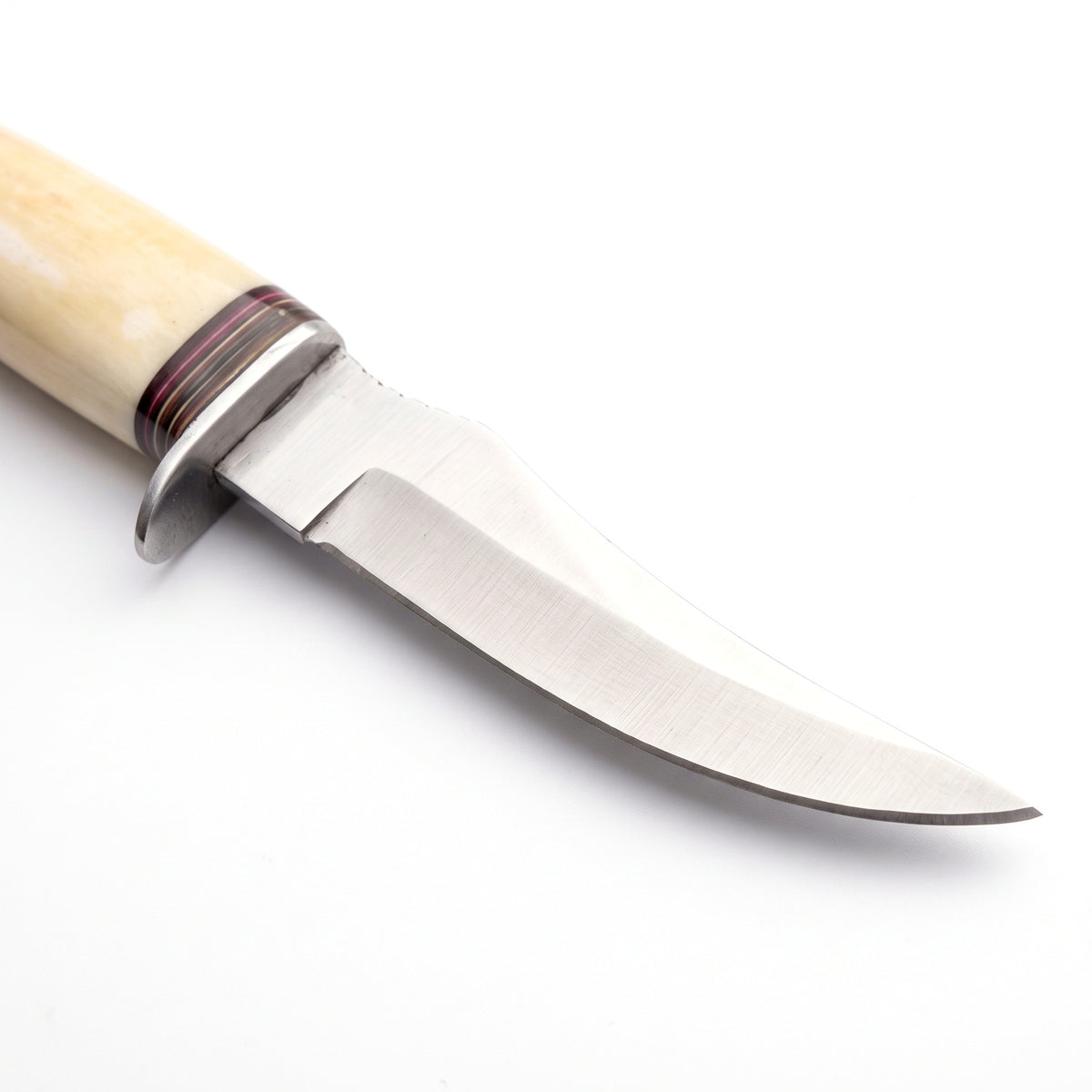 Ridgeback 8.5" Carbon Steel Hunting Knife | Bone & Brass, carbon steel blade close-up