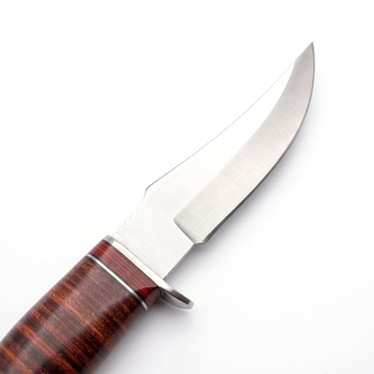 Ridgeback 8" Carbon Steel Hunting Knife | Hardwood, carbon steel blade close-up