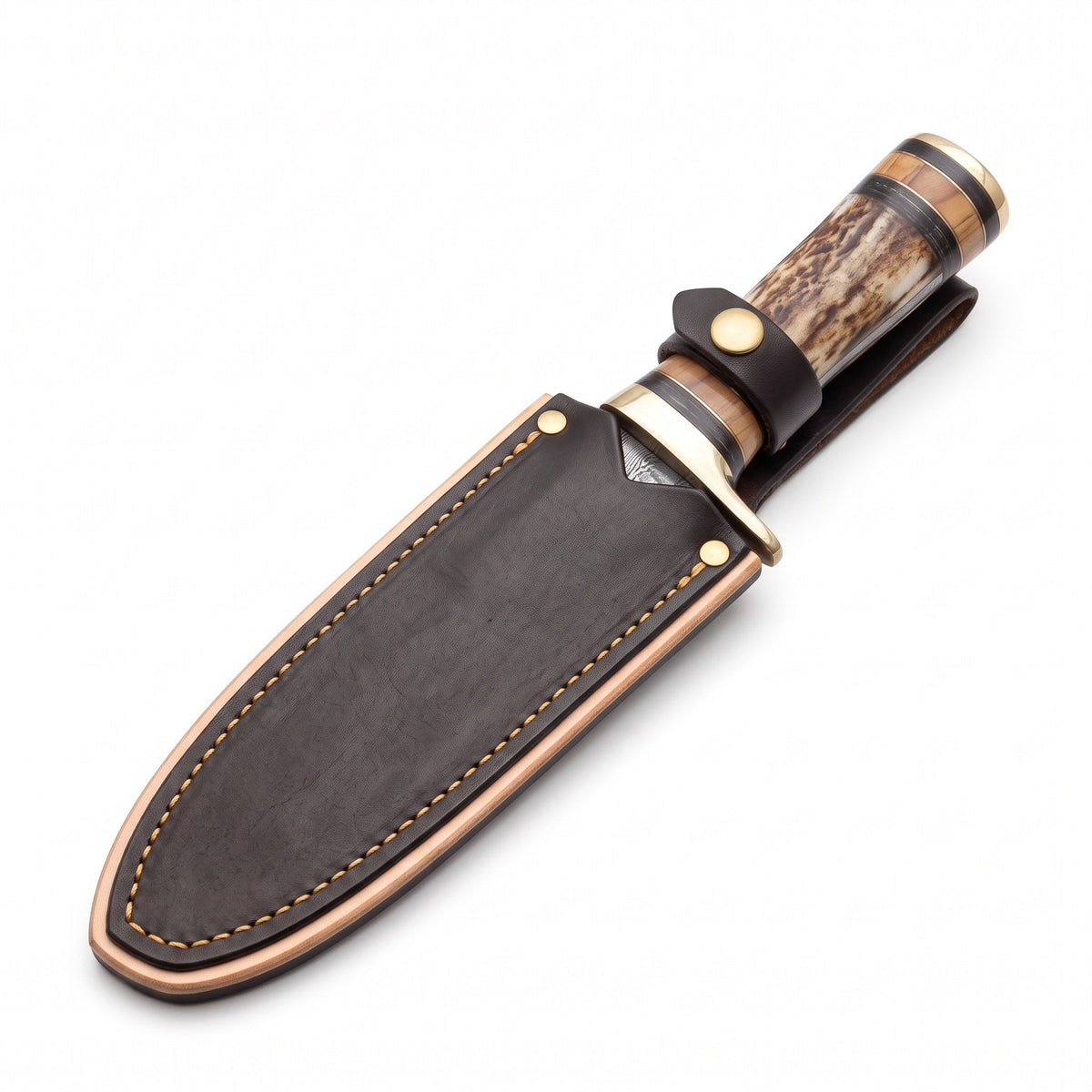 Ridgeback 8" Damascus Gut Hook Knife | Stag, seated in the Crownridge sheath