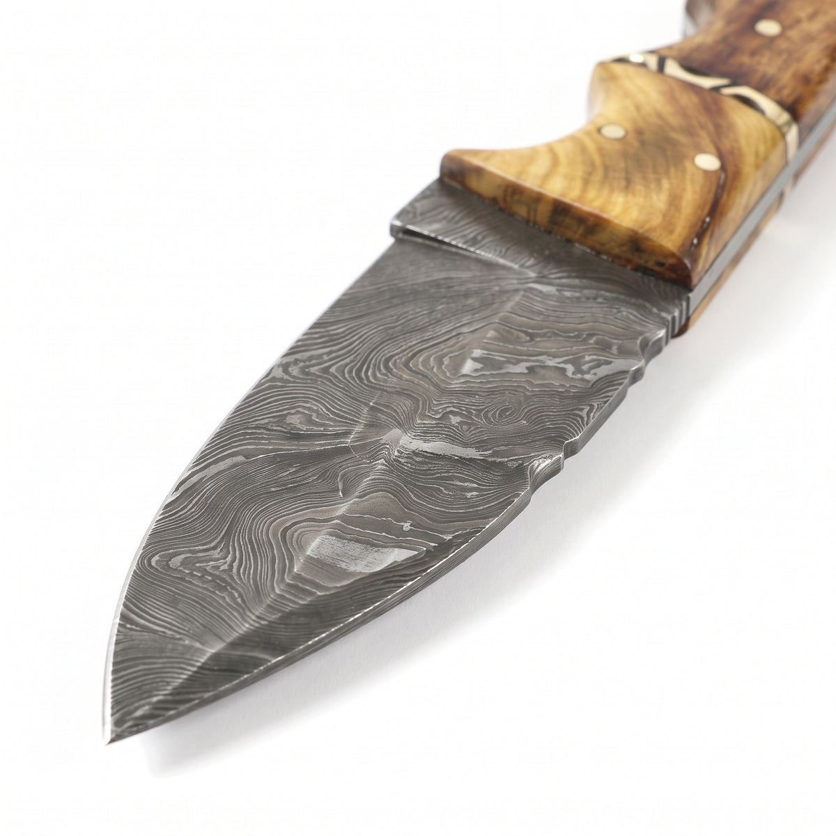 Ridgeback 8" Damascus Hunting Knife | Hardwood, Damascus blade close-up
