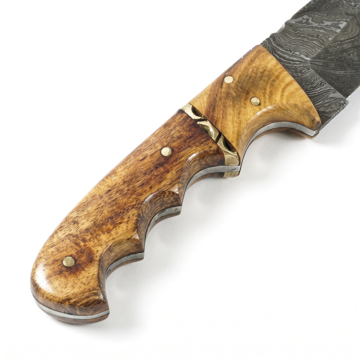 Ridgeback 8" Damascus Hunting Knife | Hardwood, handle and fittings close-up
