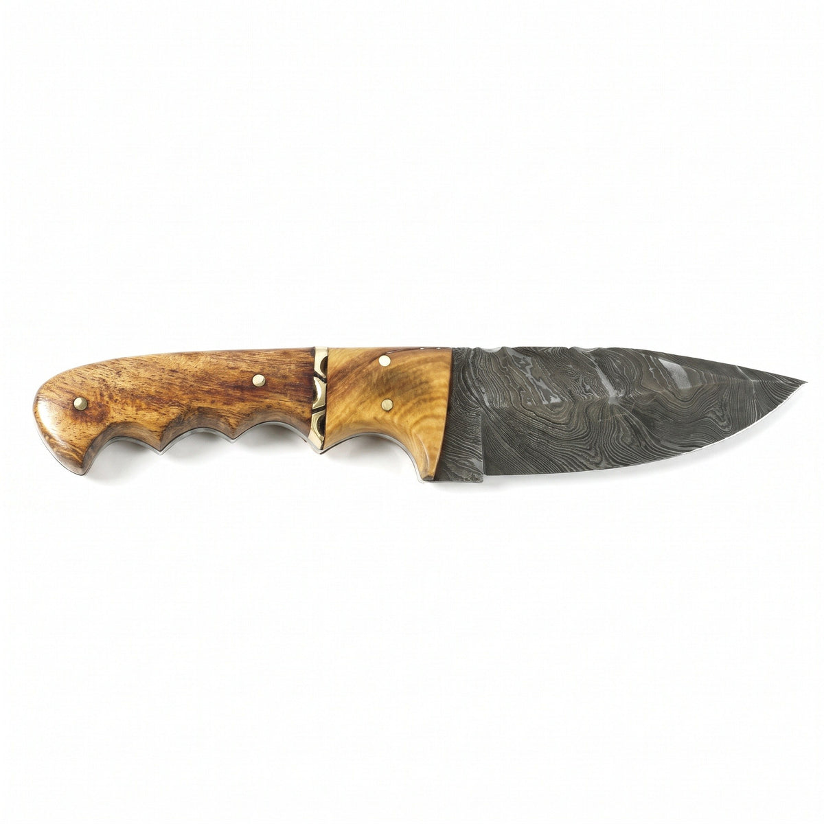 Ridgeback 8" Damascus Hunting Knife | Hardwood, side profile on white