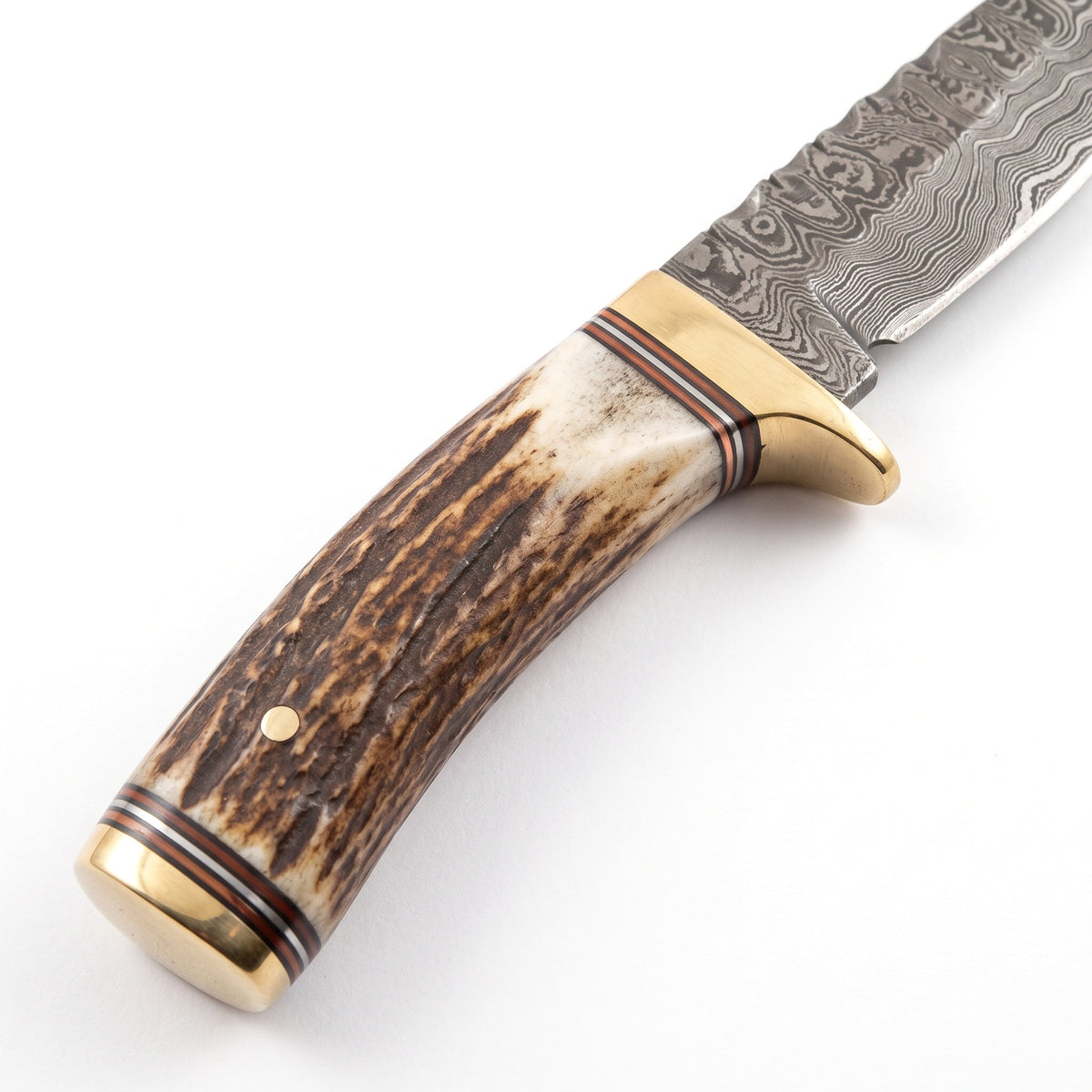 Ridgeback 8" Damascus Hunting Knife | Stag & Brass, handle and fittings close-up