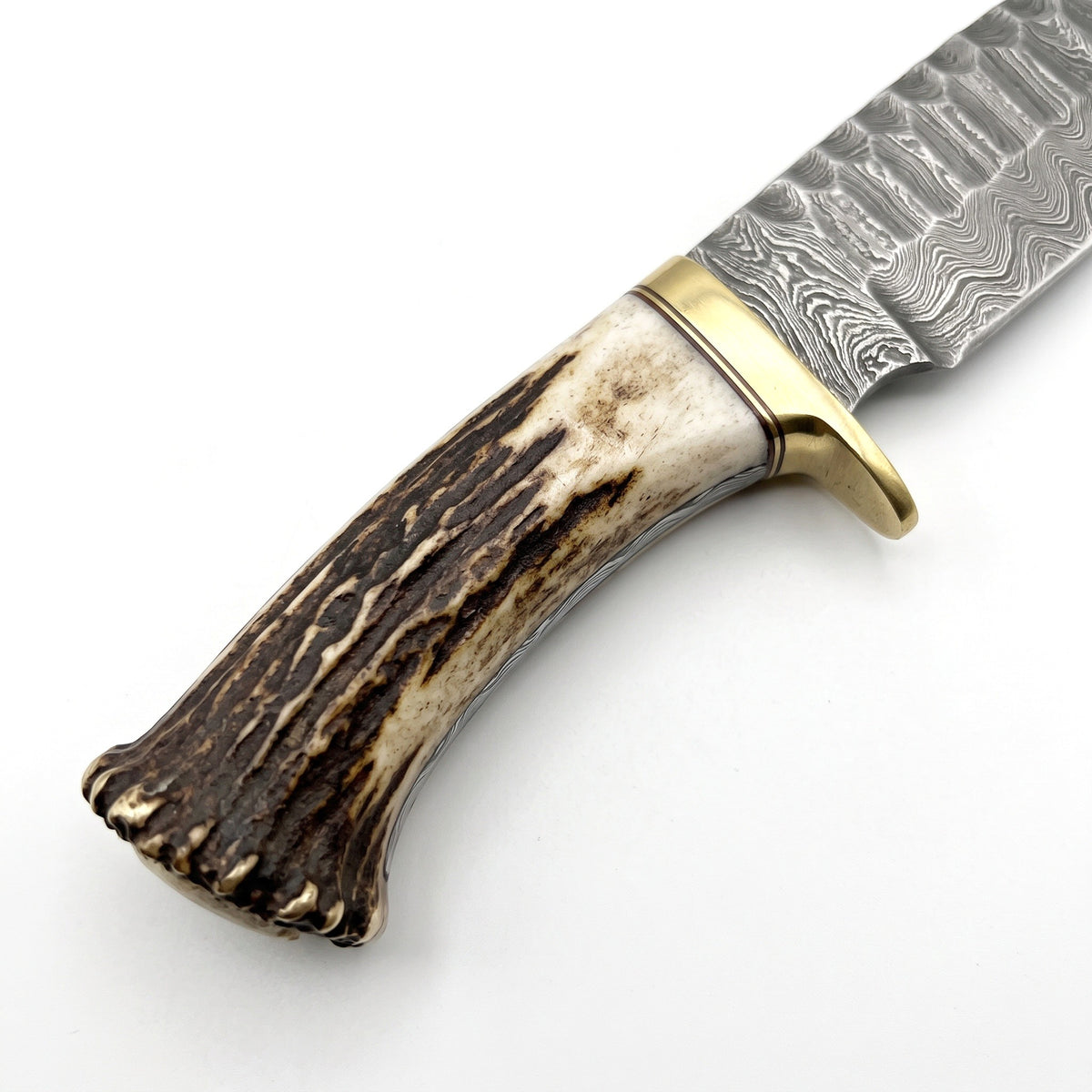Ridgeback 9.2" Damascus Hunting Knife | Stag & Brass, handle and fittings close-up