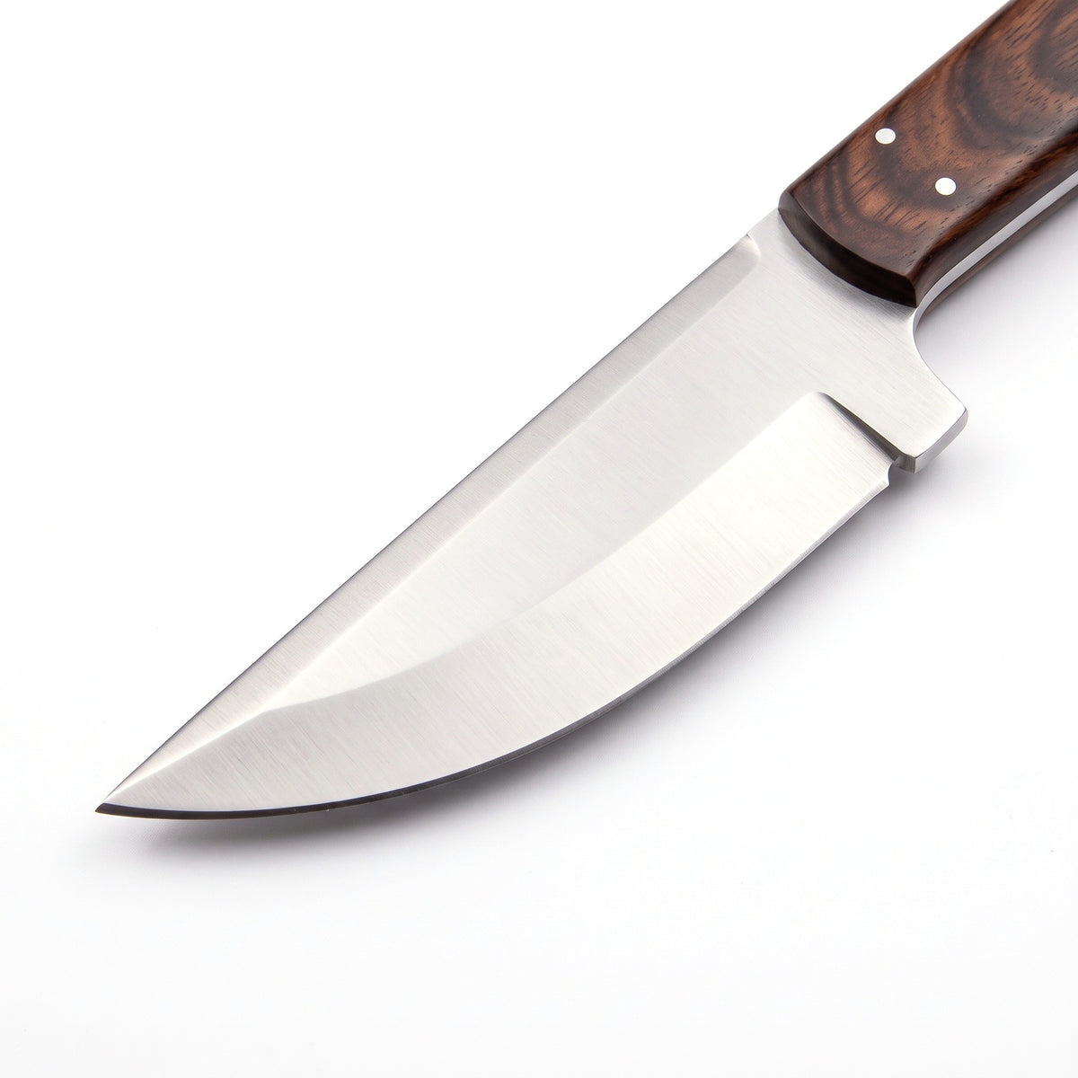 Ridgeback 9.5" Carbon Steel Hunting Knife | Walnut, carbon steel blade close-up