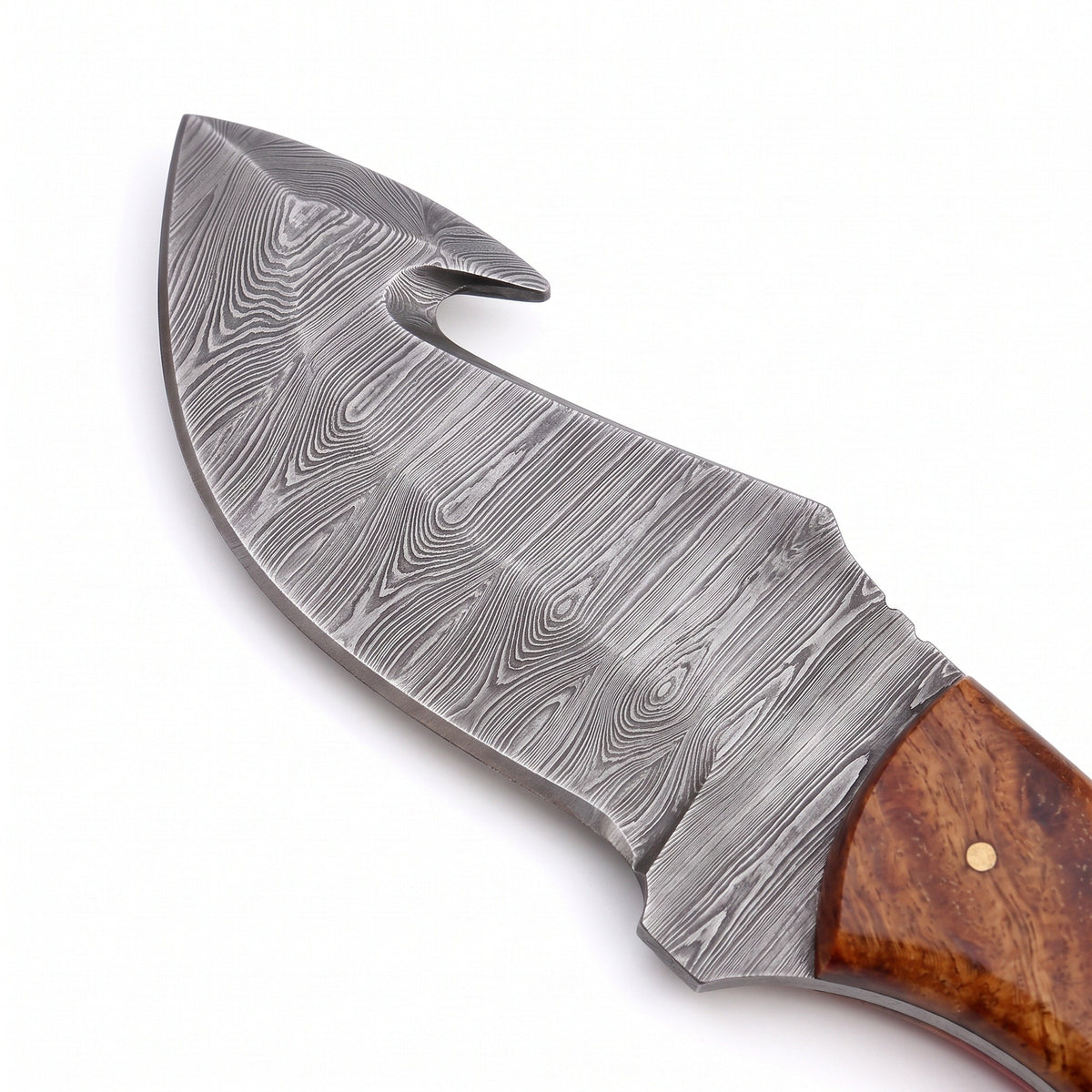 Ridgeback 9" Damascus Gut Hook Knife | Pakkawood, Damascus blade close-up
