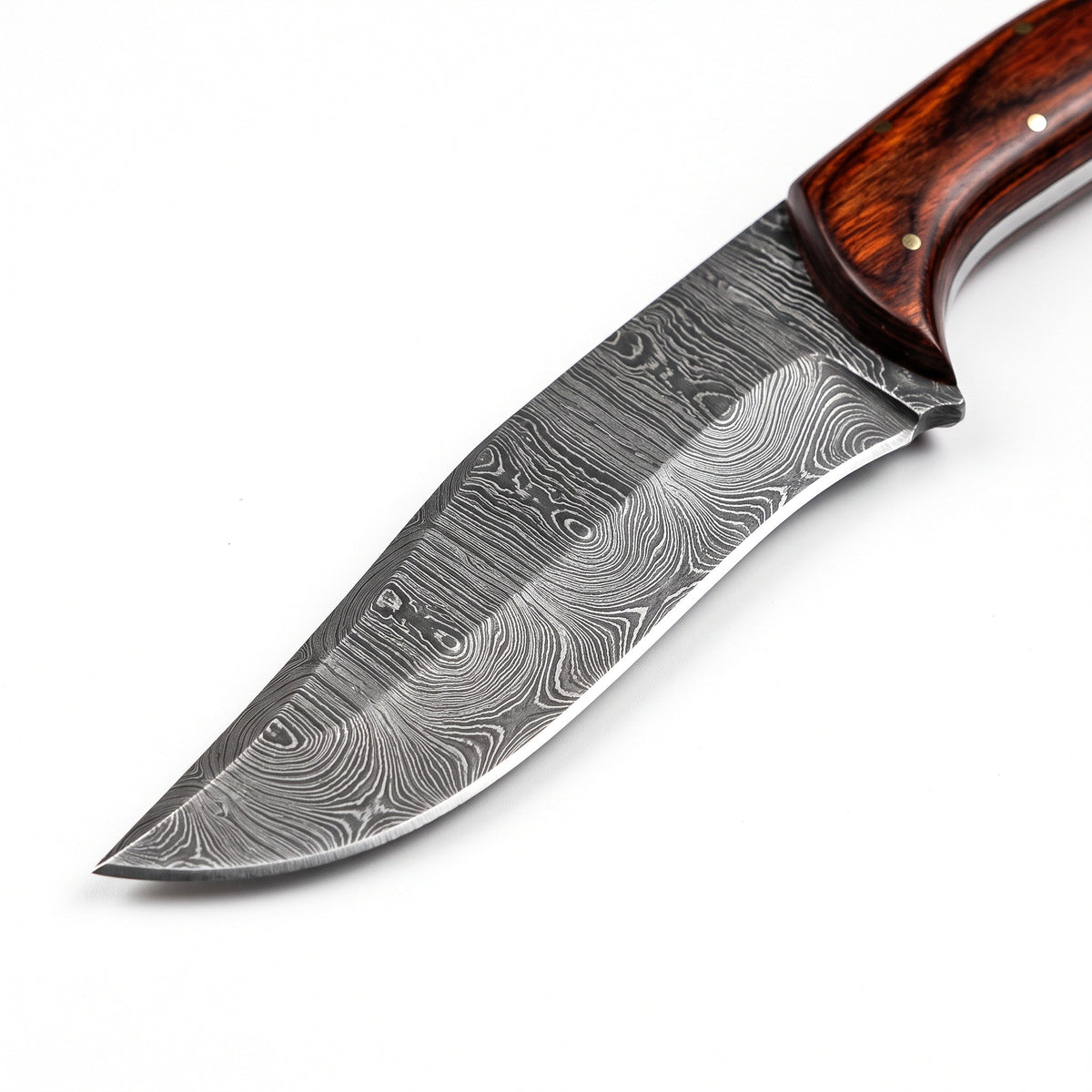 Ridgeback 9.5" Damascus Hunting Knife | Pakkawood, Damascus blade close-up