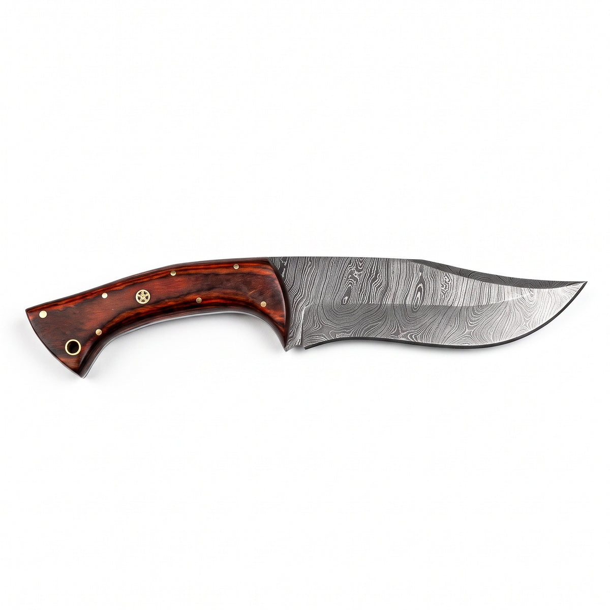 Ridgeback 9.5" Damascus Hunting Knife | Pakkawood, side profile on white