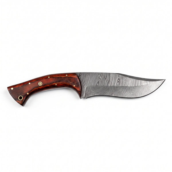 Ridgeback 9.5" Damascus Hunting Knife | Pakkawood, side profile on white