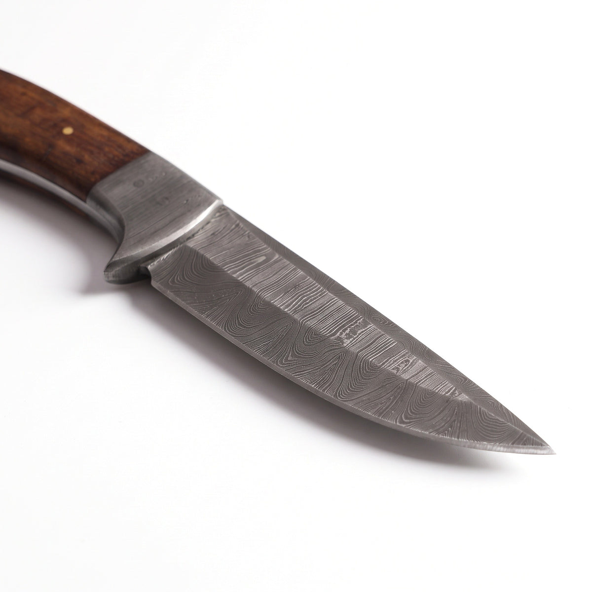 Ridgeback 9.5" Damascus Trailing Point Hunting Knife | Rosewood, Damascus blade close-up