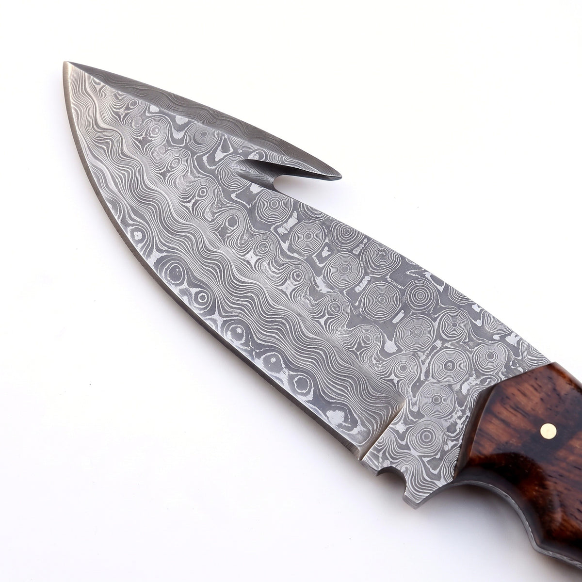 Ridgeback 9" Damascus Hunting Knife | Resin, Damascus blade close-up
