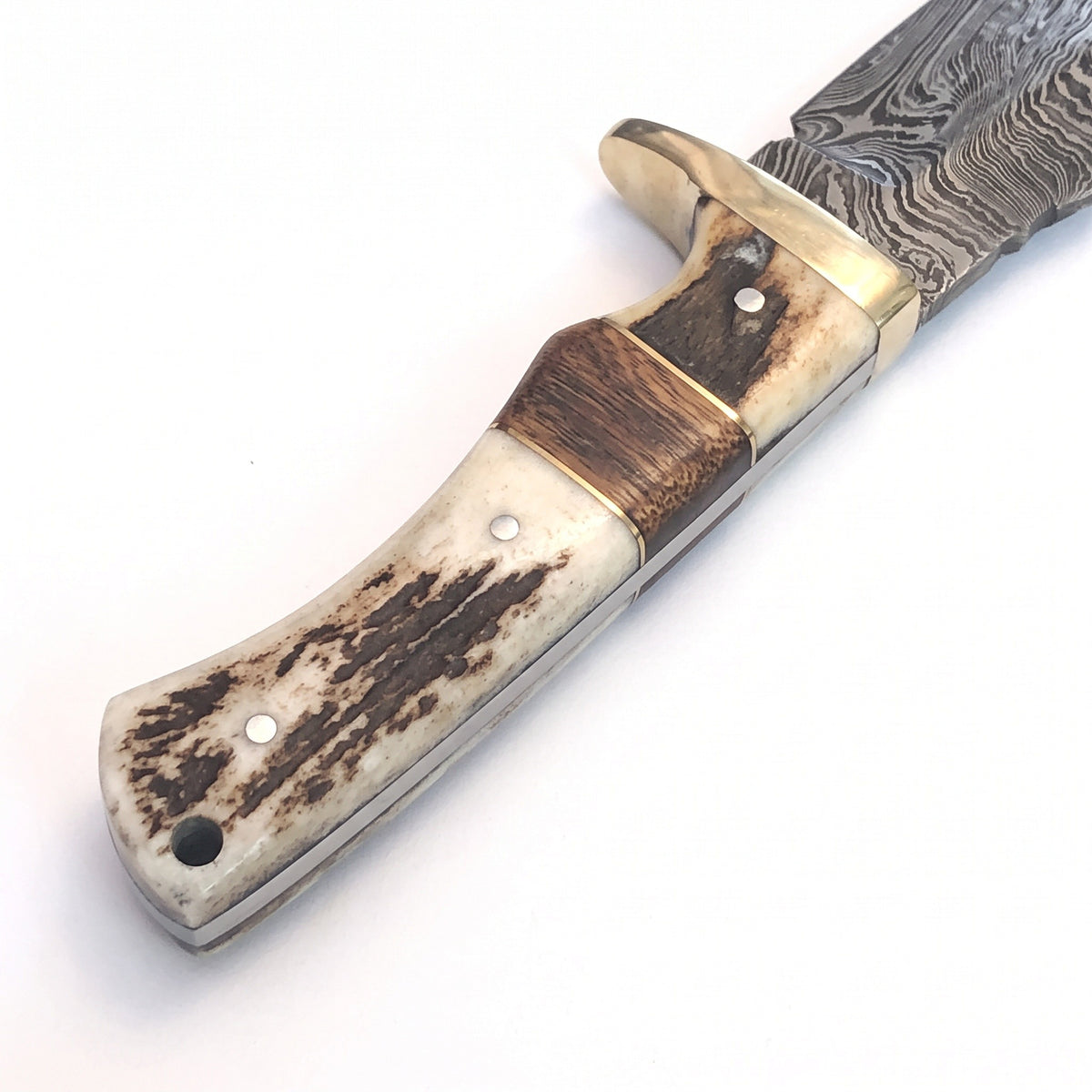 Ridgeback 9" Damascus Hunting Knife | Stag, handle and fittings close-up
