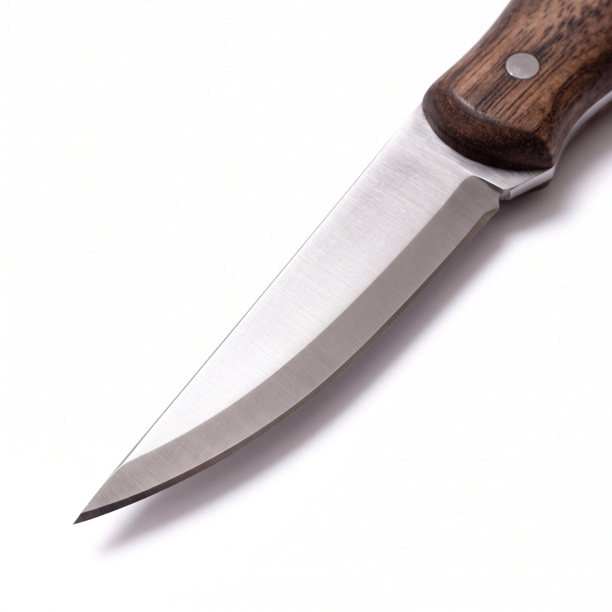 Timber 7" Carbon Steel Wood Carving Knife | Ash, carbon steel blade close-up
