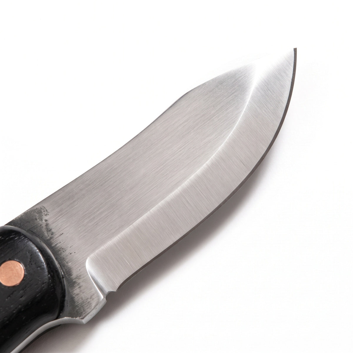 Timber 6.5" Carbon Steel Bushcraft Knife | Hornbeam, carbon steel blade close-up
