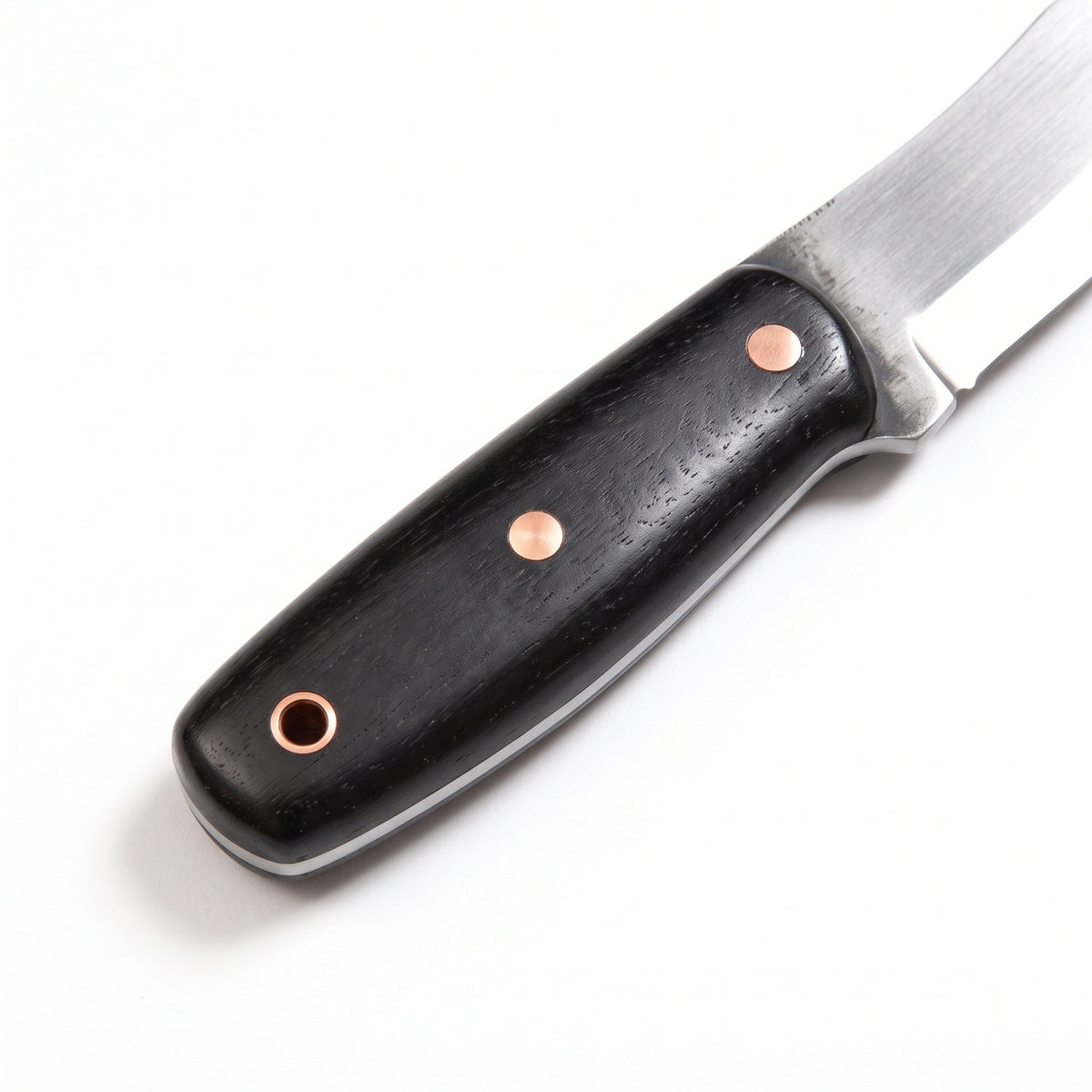 Timber 6.5" Carbon Steel Bushcraft Knife | Hornbeam, handle and fittings close-up