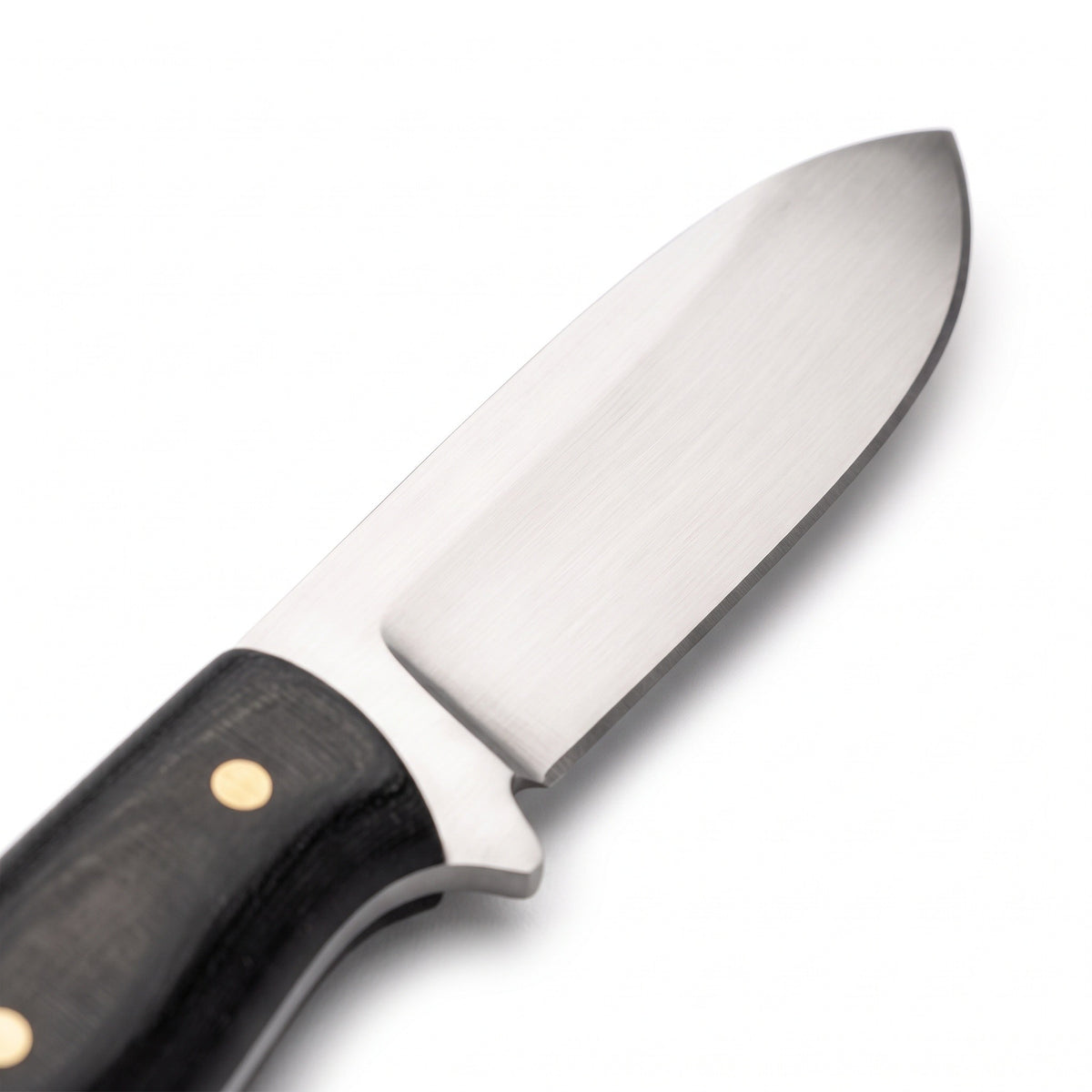 Timber 7.5" Carbon Steel Bushcraft Knife | Micarta, carbon steel blade close-up