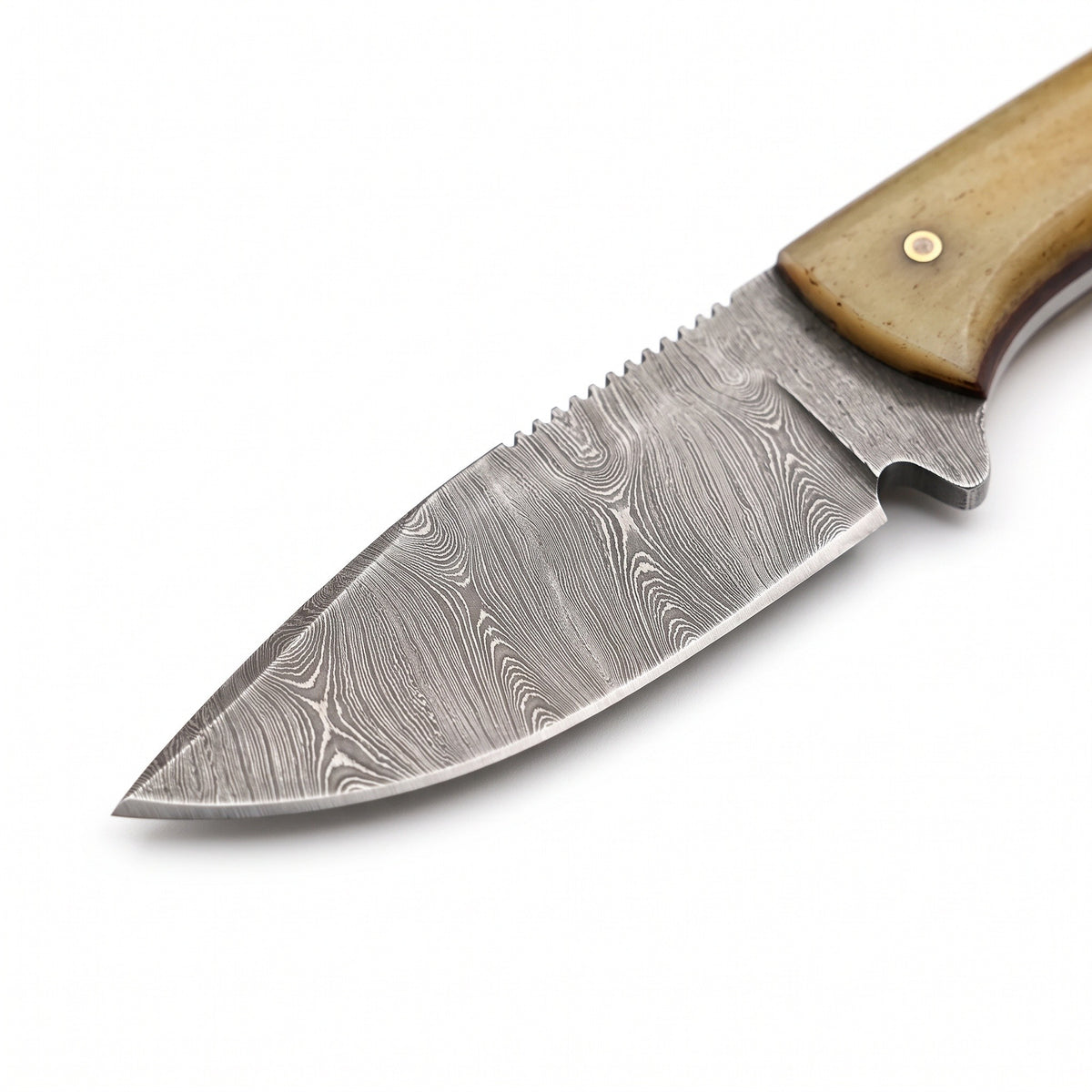 Trailhead 6.5" Damascus EDC Knife | Bone, Damascus blade close-up
