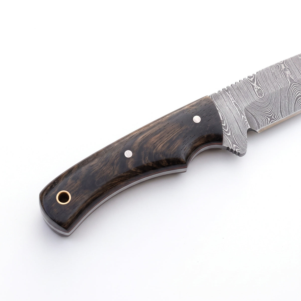 Trailhead 6.5" Damascus EDC Knife | Rosewood, handle and fittings close-up