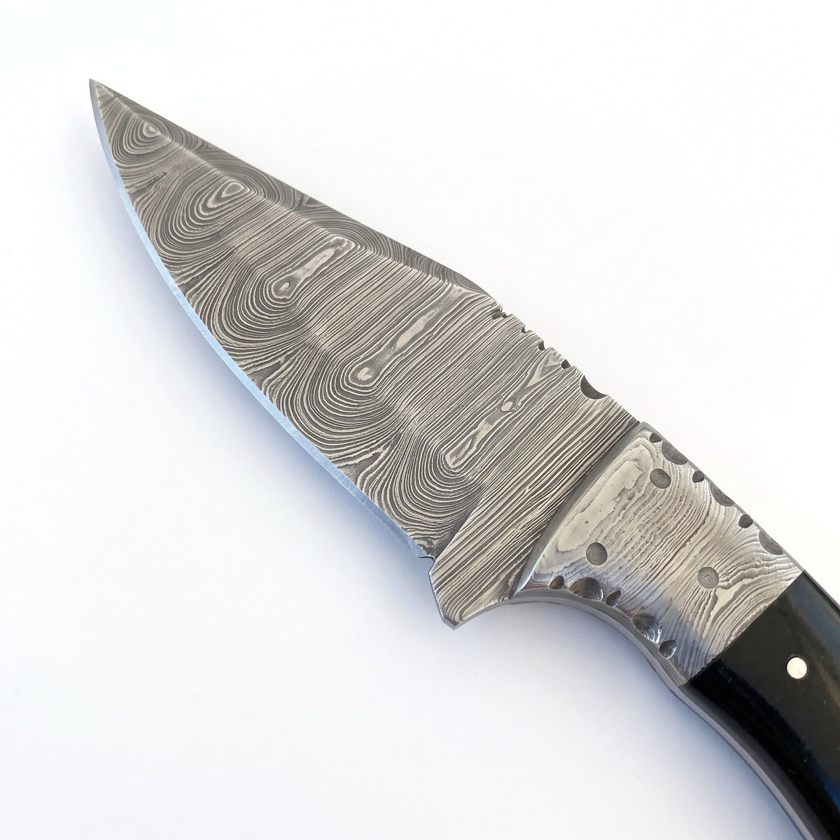 Trailhead 7.5" Damascus Skinning Knife | Buffalo Horn, Damascus blade close-up