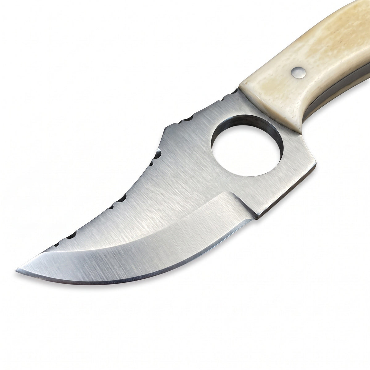 Trailhead 7" Carbon Steel Skinning Knife | Bone, carbon steel blade close-up