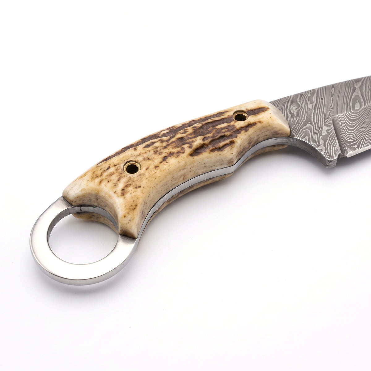Trailhead 9" Damascus Skinning Knife | Stag, handle and fittings close-up