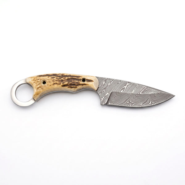 Trailhead 9" Damascus Skinning Knife | Stag, side profile on white